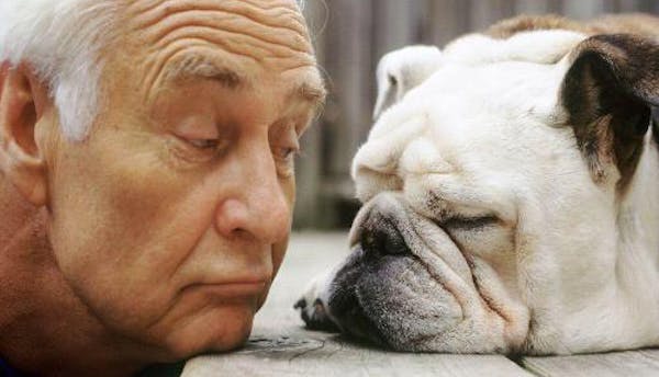 pet therapy: vantaggi e benefici di questa per gli anziani